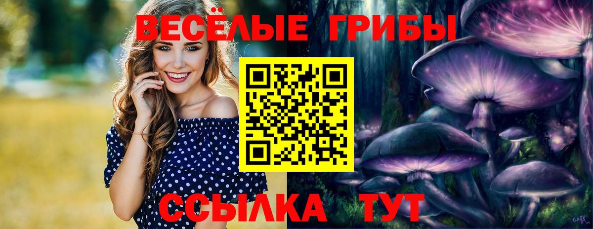 Псилоцибиновые грибы мухоморы Ступино