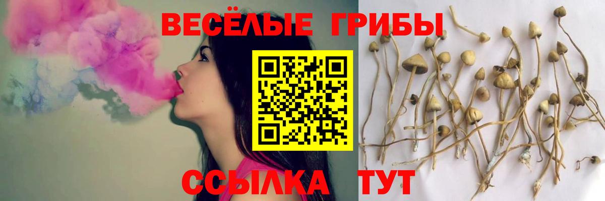 Галлюциногенные грибы прущие грибы  Вход с VPN  Псилоцибиновые грибы Psilocybe  Ступино 